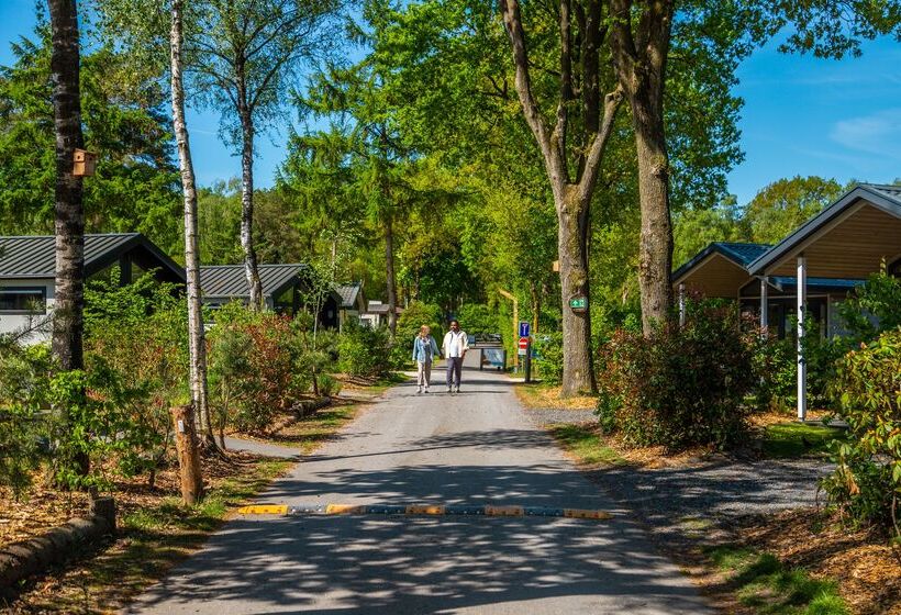 リゾートホテル Europarcs De Wije Werelt