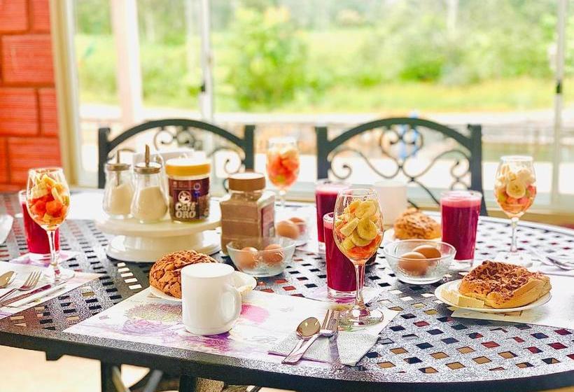 Bed & Breakfast Finca Don Julio