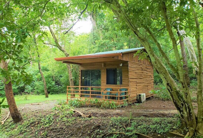 호텔 Angels Ecolodge