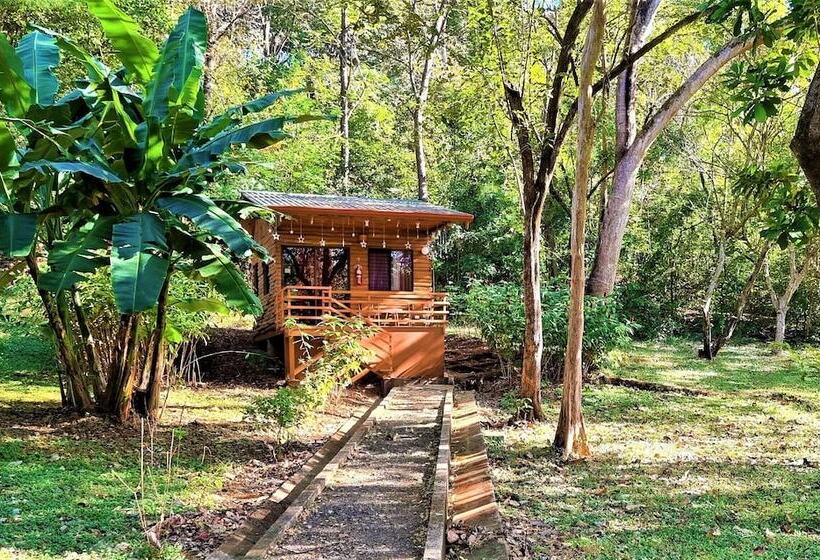 호텔 Angels Ecolodge