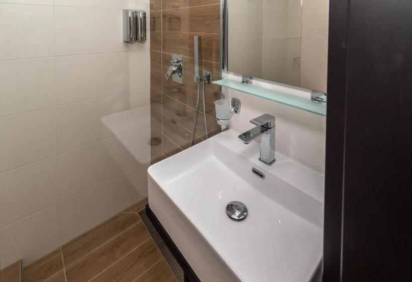 호텔 Arany Apartman Miskolc