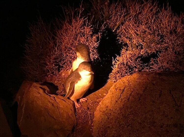 فندق Burnie By The Bay Apartments