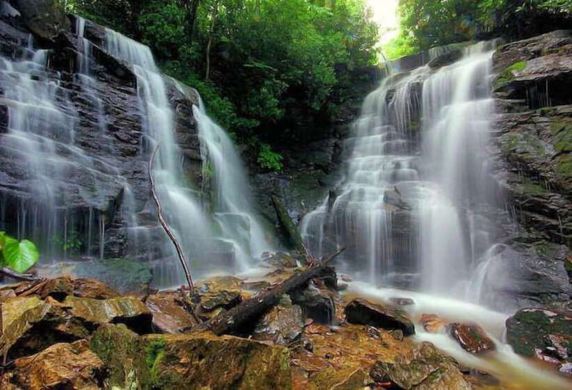 ホテル Cozy Creek Cottages