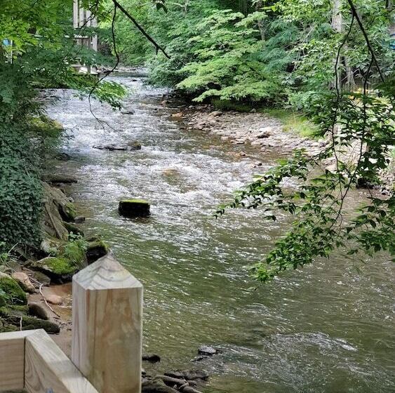 ホテル Cozy Creek Cottages