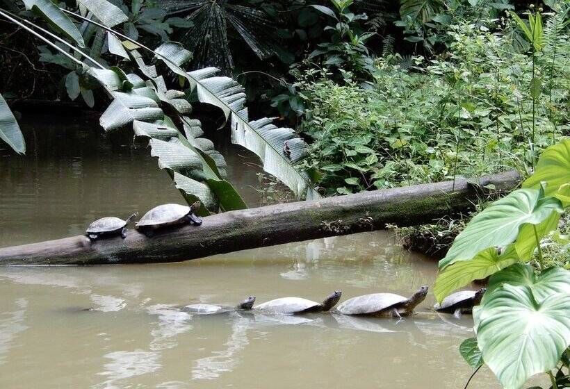 هتل Grand Selva Lodge & Tours