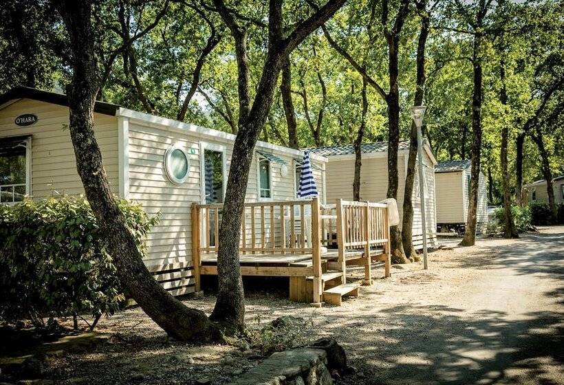 בית מלון כפרי Lagrange Vacances Camping Le Bois Fleuri