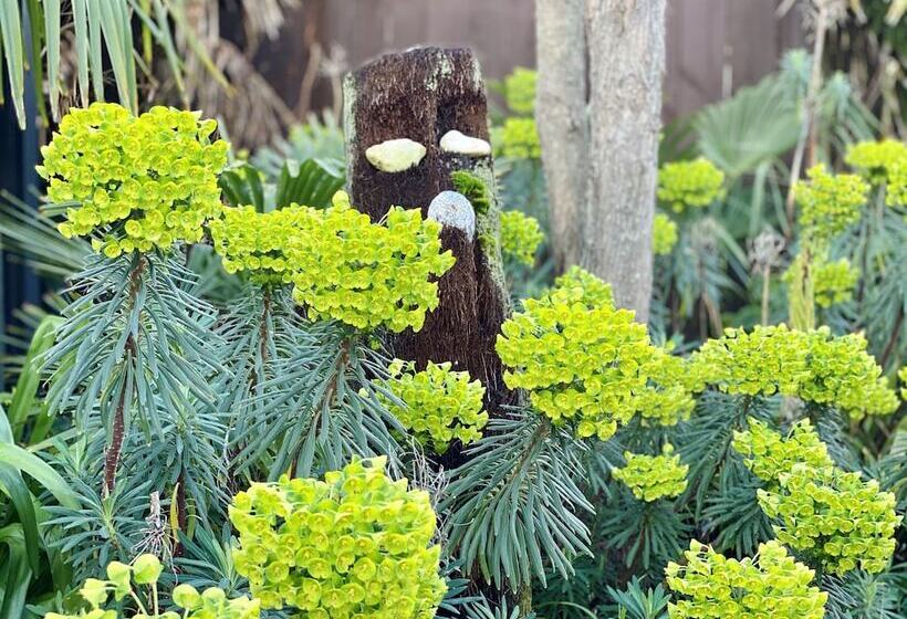 Pacific Harbour Villas