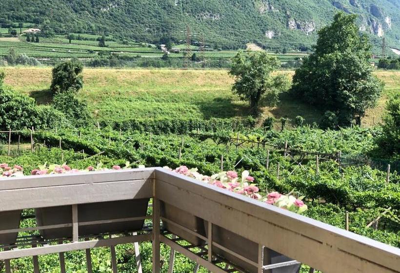 膳宿费 Affittacamere Vignola