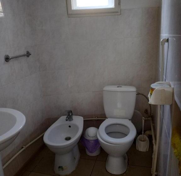 Pensionat Gelena гостьовий двір