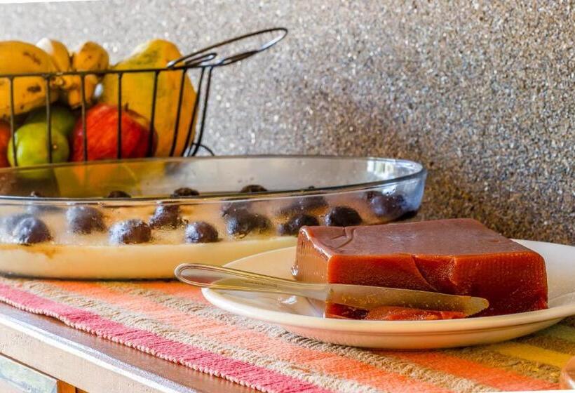 Пансион Pousada Vale Dos Tamanduás