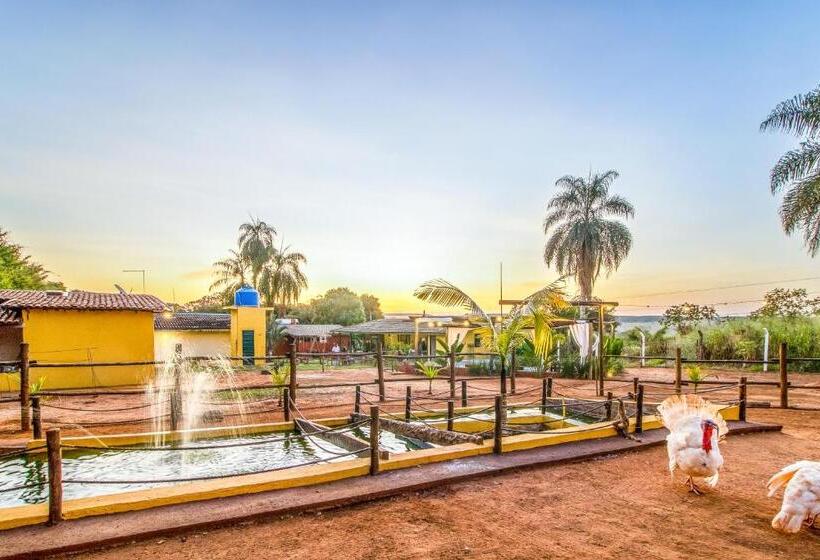 Пансион Pousada Vale Dos Tamanduás