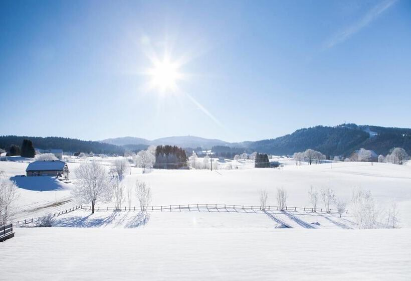 Residence Les Clarines