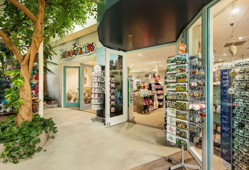 אתר נופש Center Parcs Limburgse Peel Limburg Brabant