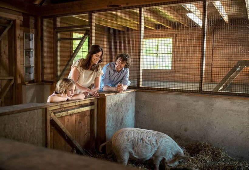 אתר נופש Center Parcs Limburgse Peel Limburg Brabant