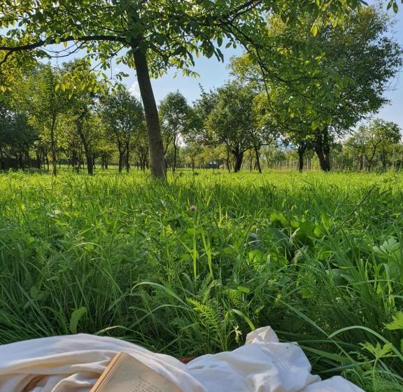 הוסטל La Romaneasa