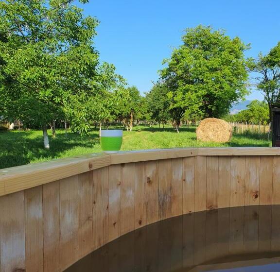 הוסטל La Romaneasa