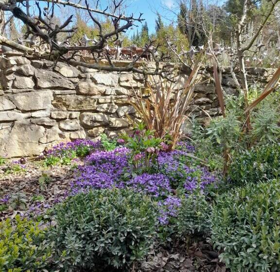 مبيت وإفطار Casa Cholavila