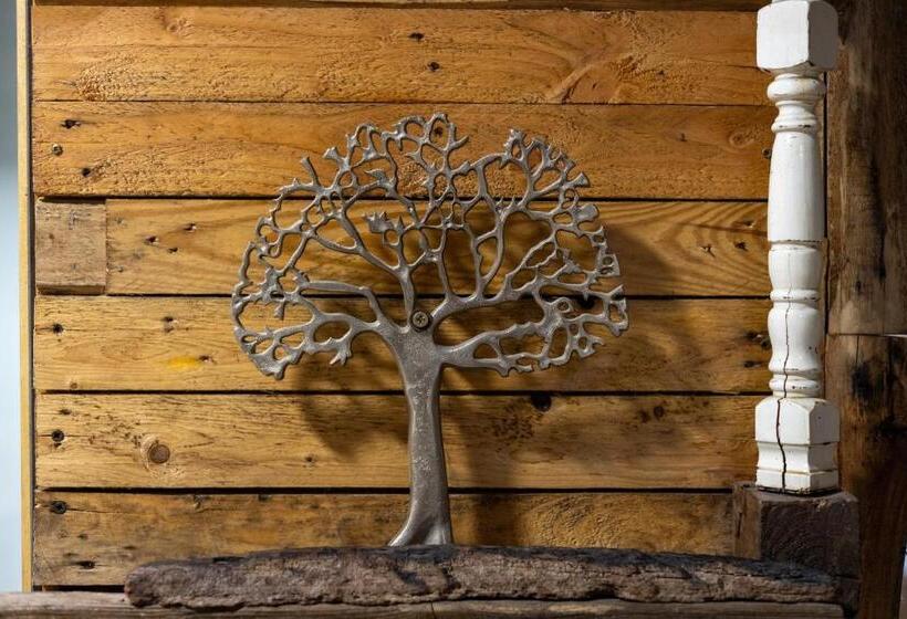 צימר Il Giardino Di Chiara