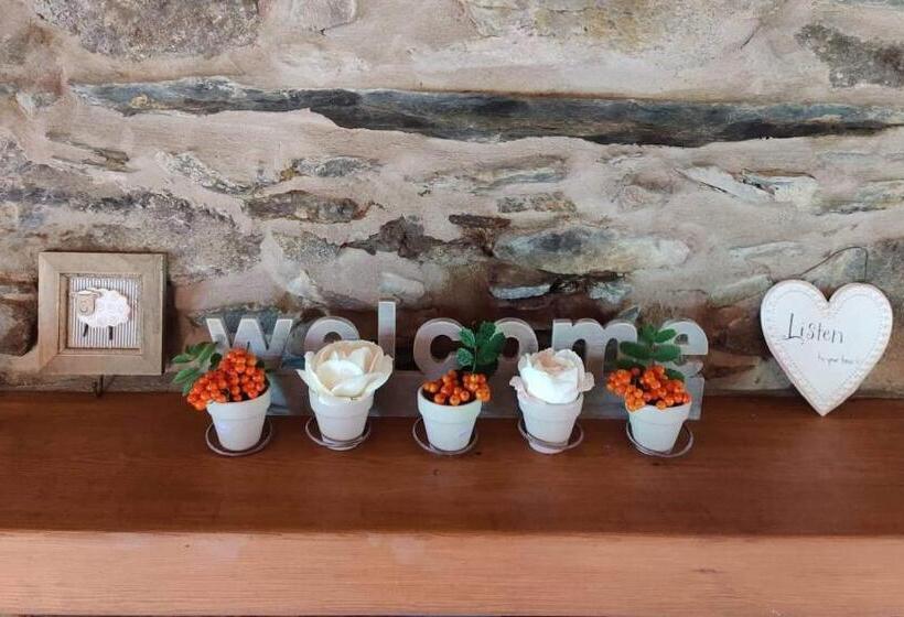 צימר Silverstripe