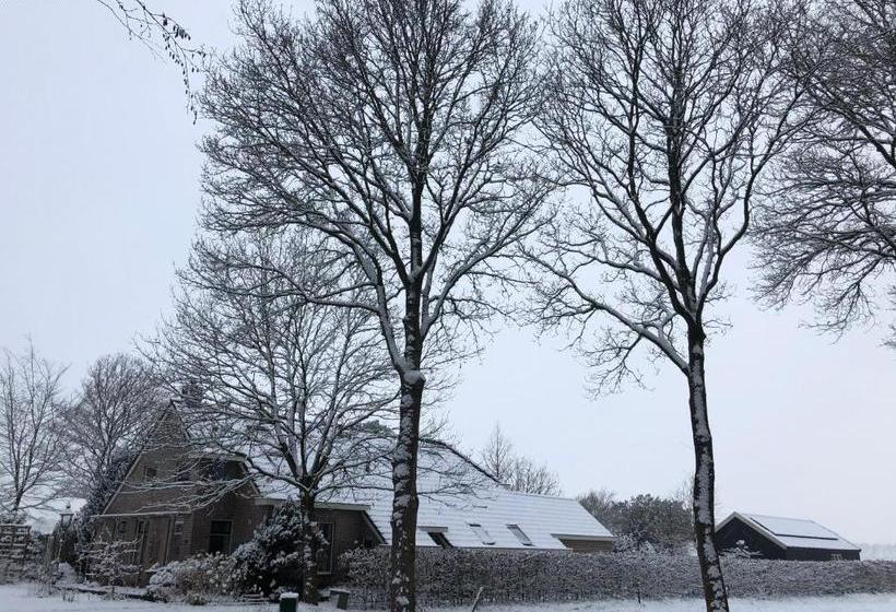 Bed & Breakfast Ter Borg