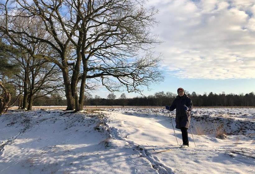 Bed & Breakfast Ter Borg