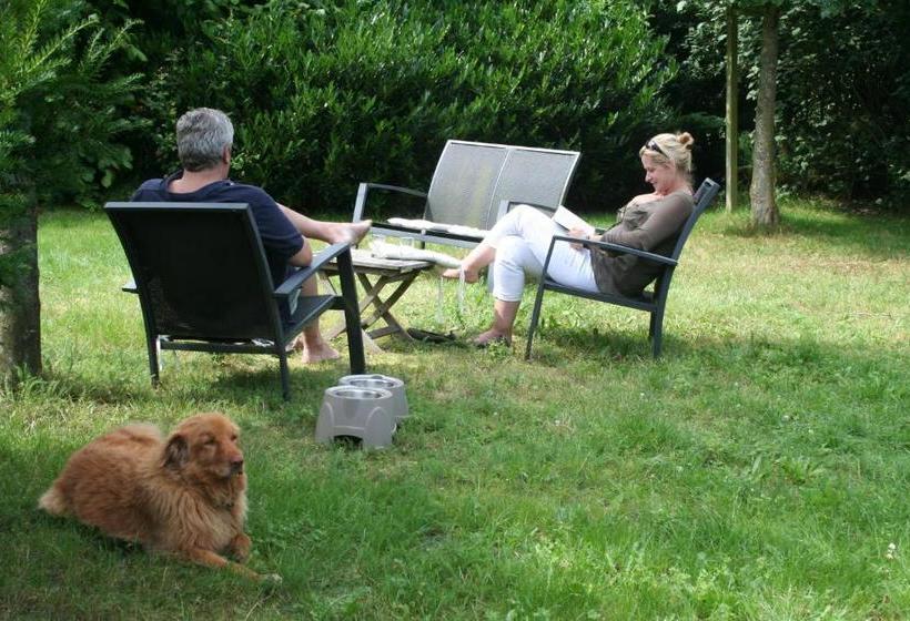 Bed & Breakfast Ter Borg