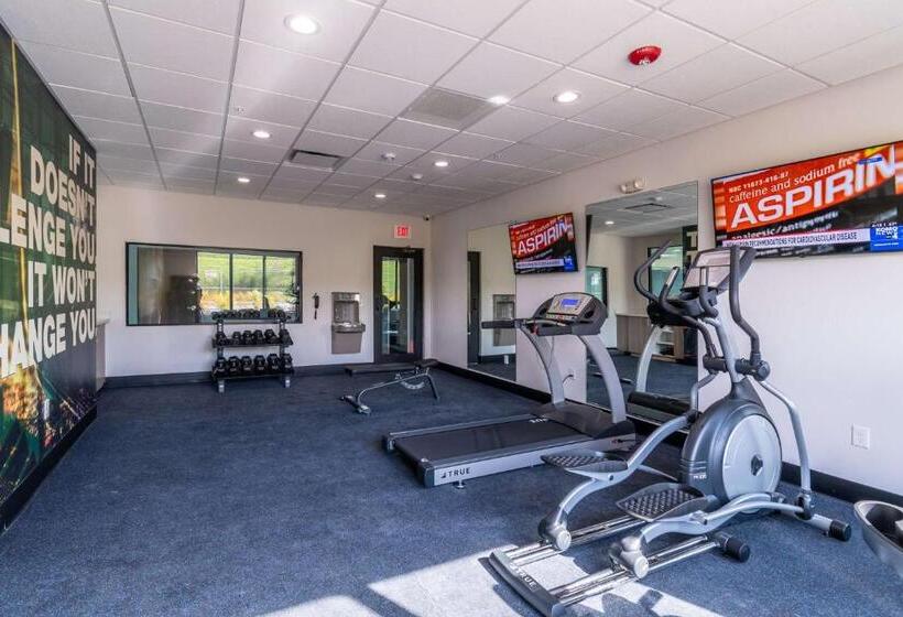 בית מלון כפרי Best Western Plus Tacoma