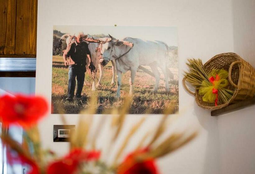 בית מלון כפרי Il Sasso Di San Galgano