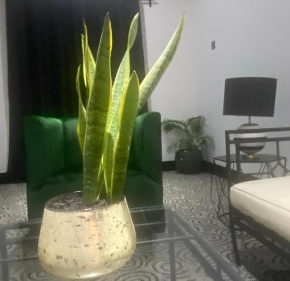 هتل Muse Boutique