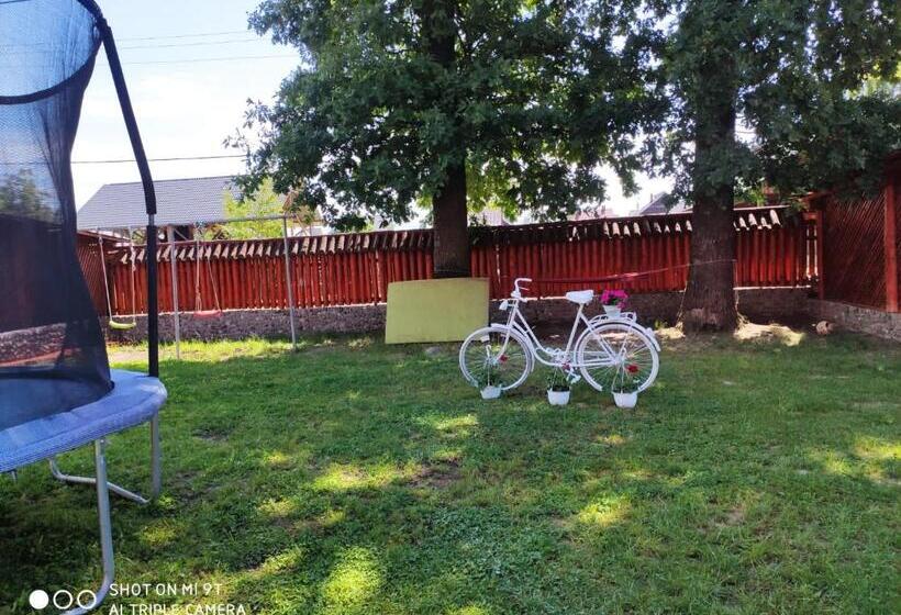 بنسيون Casa Marinca