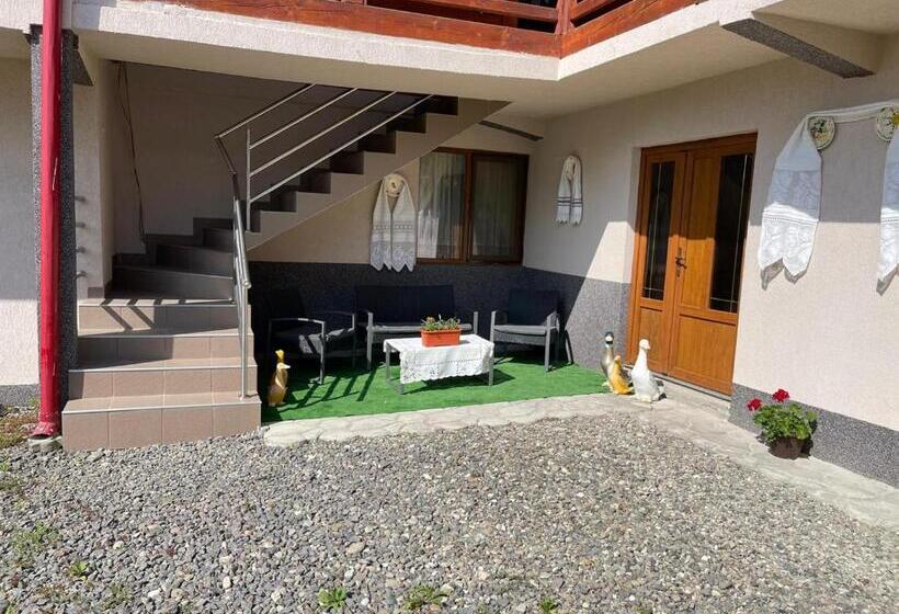 بنسيون Casa Marinca