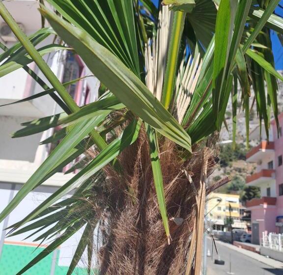 פנסיון Alberti