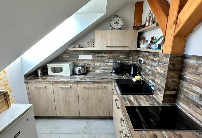 ペンション Třeboňský Penzion