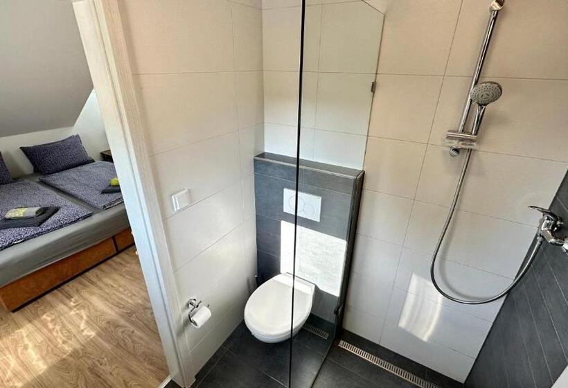 ペンション Třeboňský Penzion