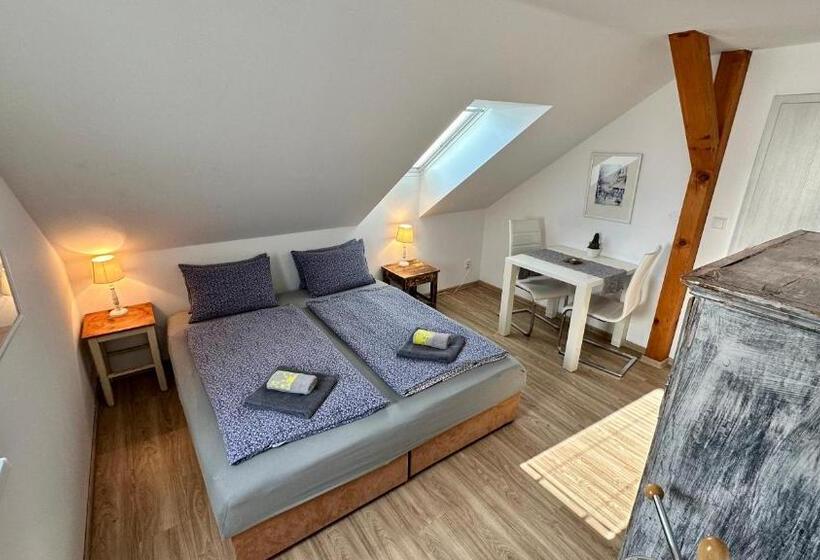 ペンション Třeboňský Penzion