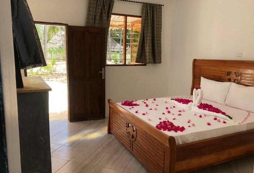 Hostel Liquid Life By Buccaneer