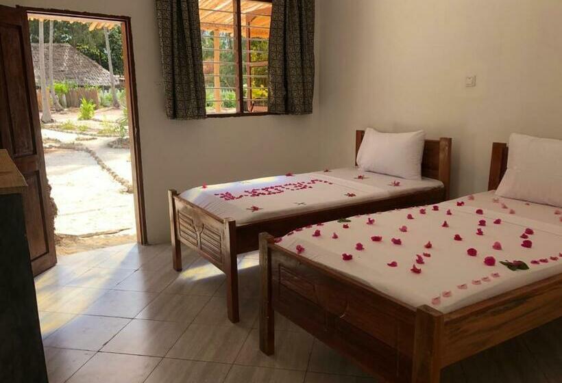 Hostel Liquid Life By Buccaneer