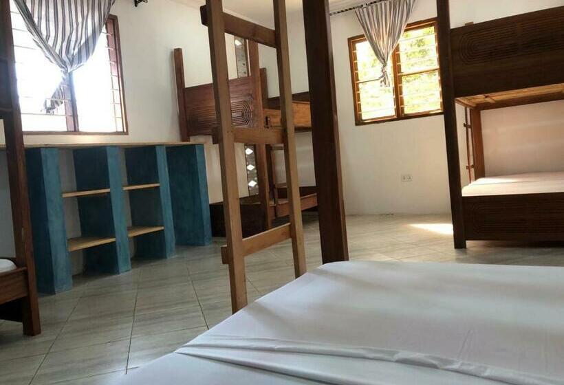 Hostel Liquid Life By Buccaneer