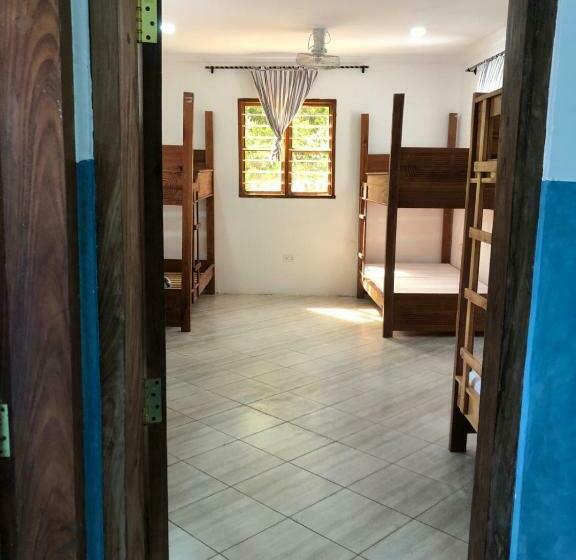 Hostel Liquid Life By Buccaneer