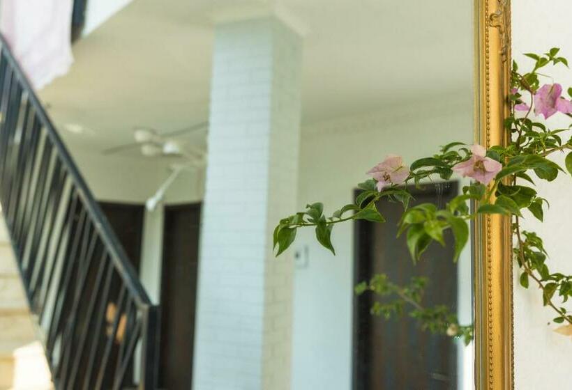 هاستل Tj Gardens