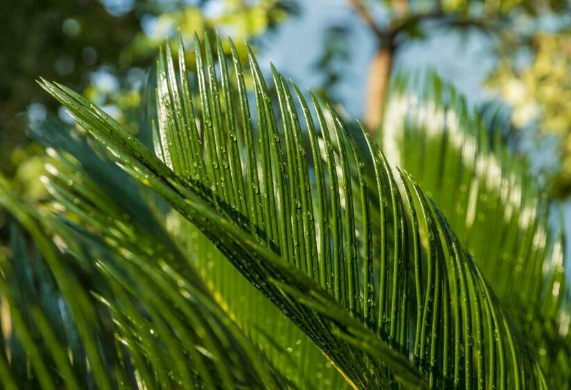 هاستل Tj Gardens