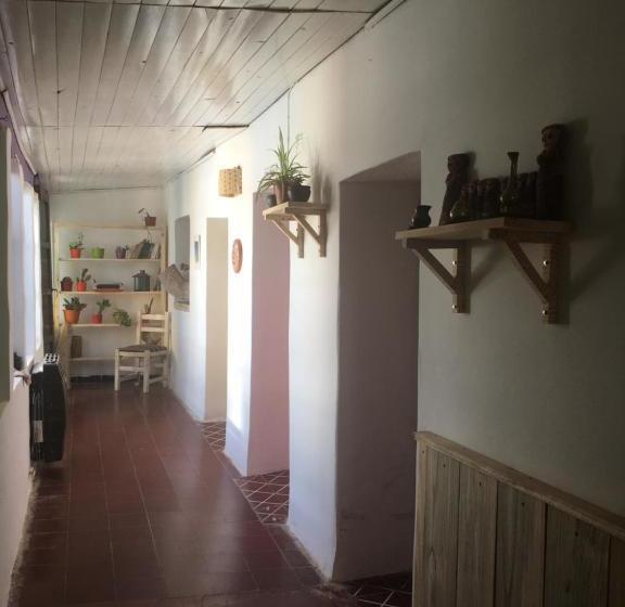 Bed and Breakfast Amalaya Hostel