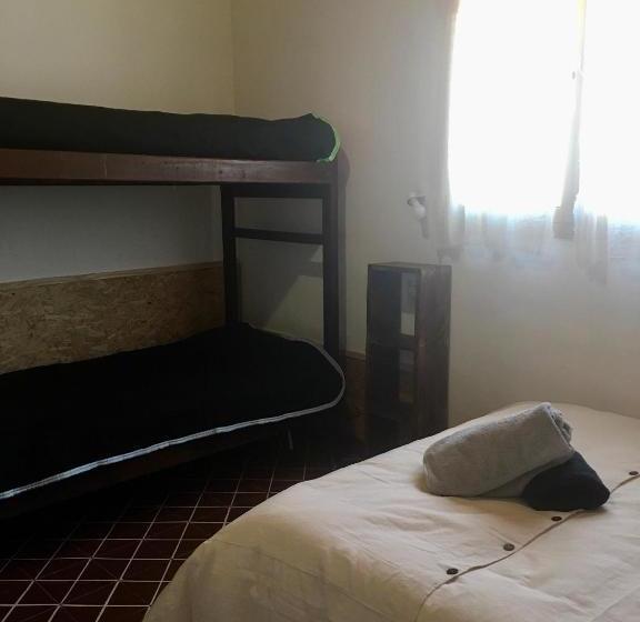 Bed and Breakfast Amalaya Hostel