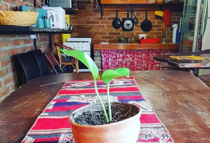 تختخواب و صبحانه Hostal Del Suri