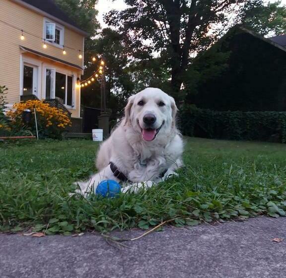 צימר Manoir Alegria