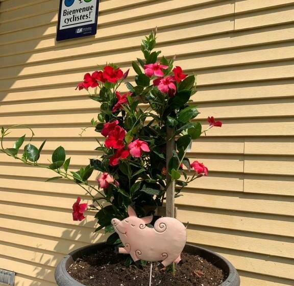 צימר Manoir Alegria