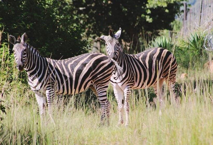 Bon Hotel Rustenburg