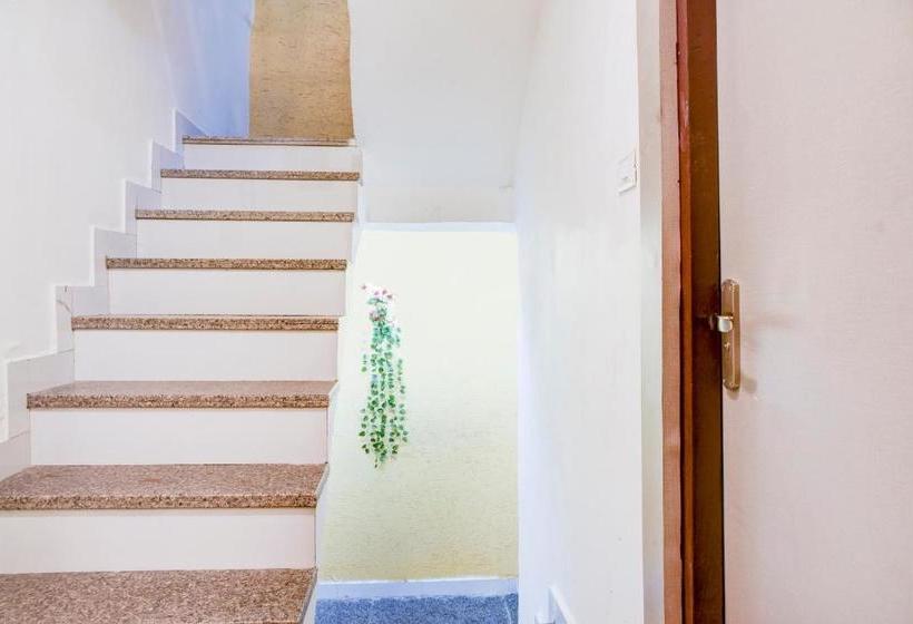 Collection O Hotel Bine Venue