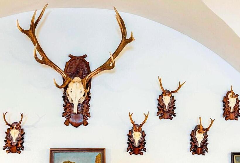 هتل Vila Lovců Králových