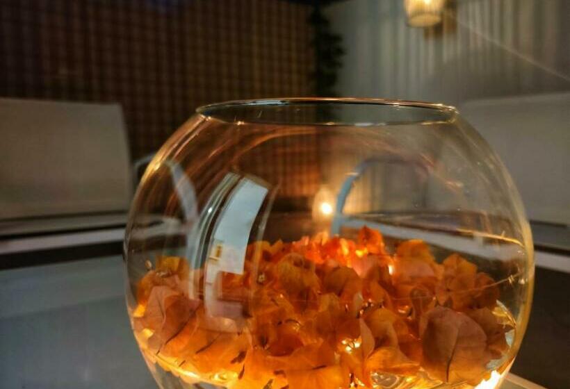 膳宿费 Cammarìa Room